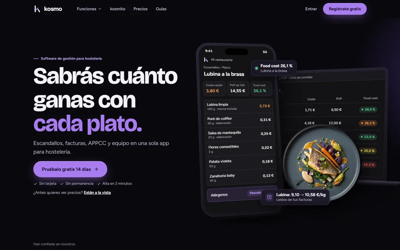 Portada de la web de kosmo, diseñada por Renace